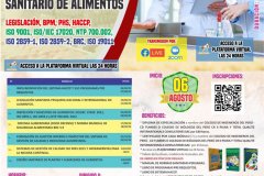 2022-07-27-auditor-interno