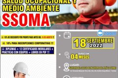 SSOMA-2